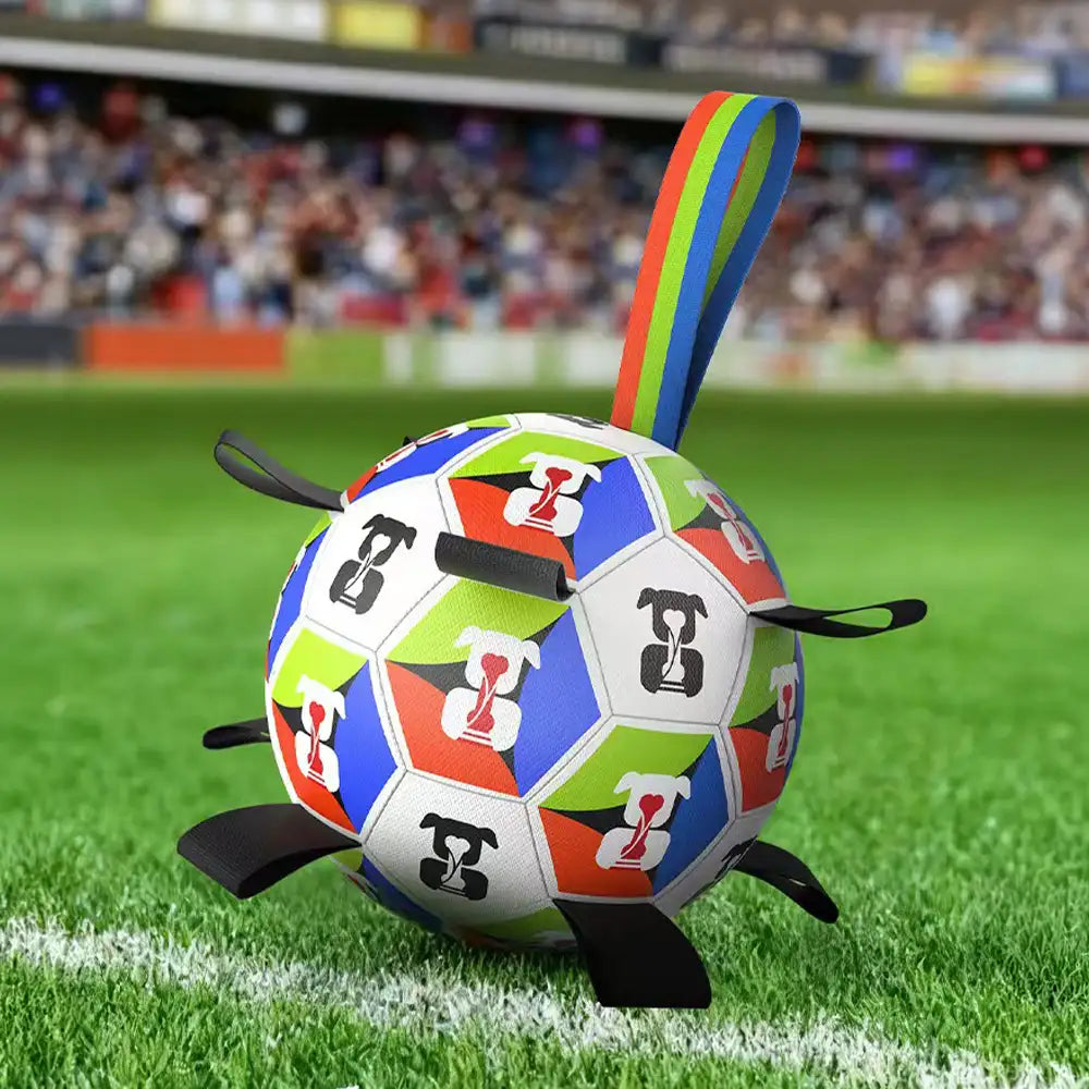 Dog Soccer Ball with Straps Interactive Toy - Dog Toys main product image | Petix pet supplies for dogs and cats