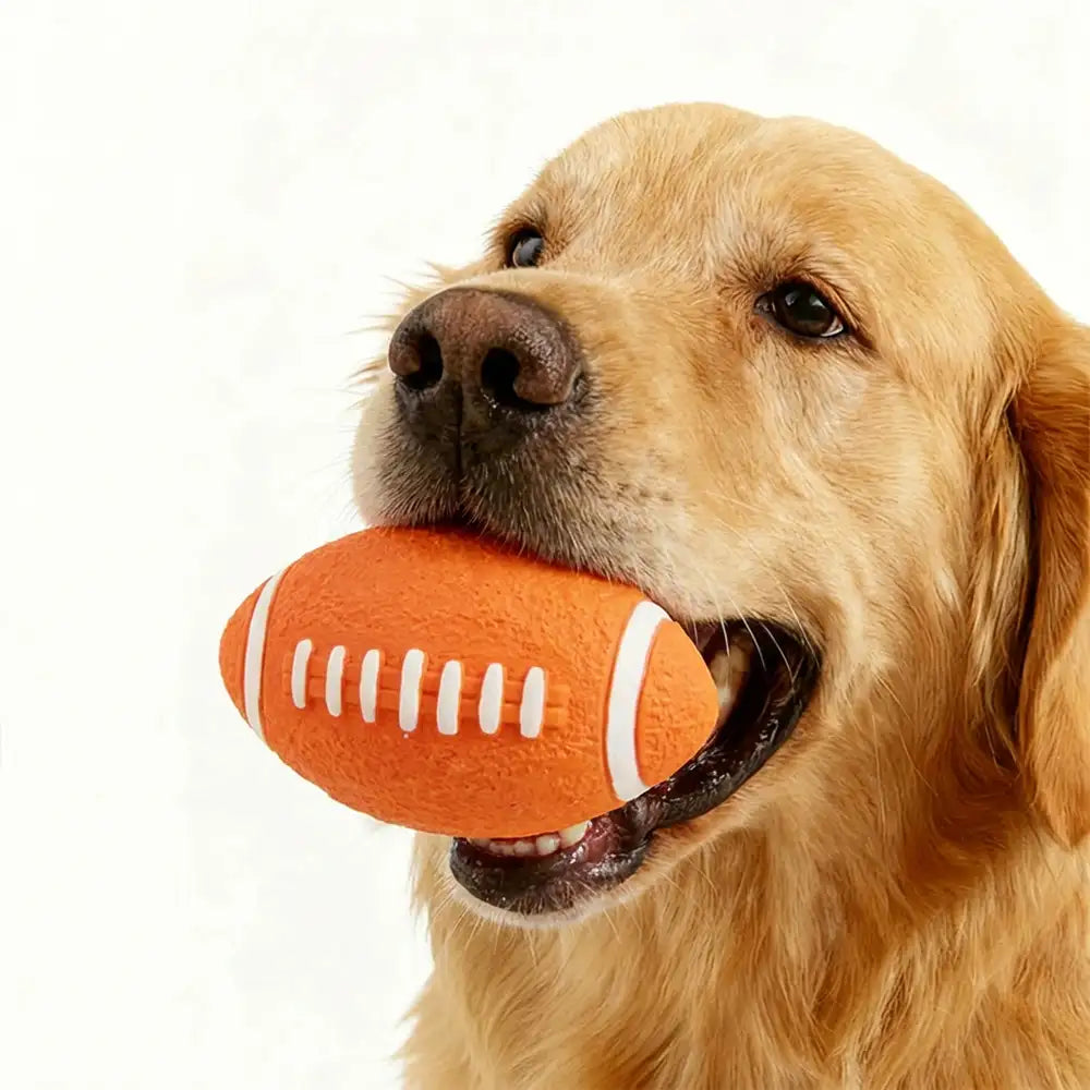 Durable Latex Teething With Squeaker Dog Chew Toy - Dog Toys detail view 2 | Petix pet supplies for dogs and cats
