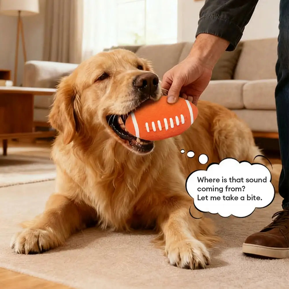 Durable Latex Teething With Squeaker Dog Chew Toy - Dog Toys detail view 4 | Petix pet supplies for dogs and cats