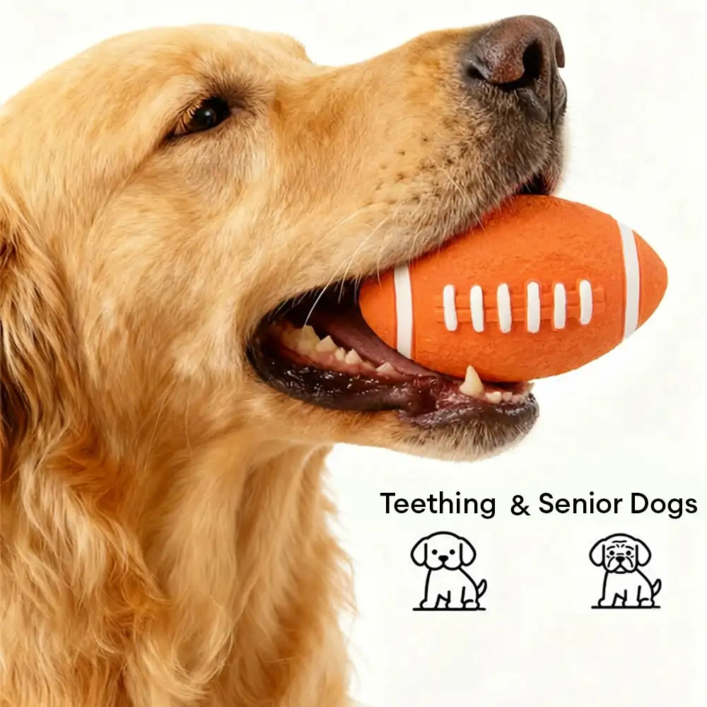Durable Latex Teething With Squeaker Dog Chew Toy - Dog Toys detail view 3 | Petix pet supplies for dogs and cats