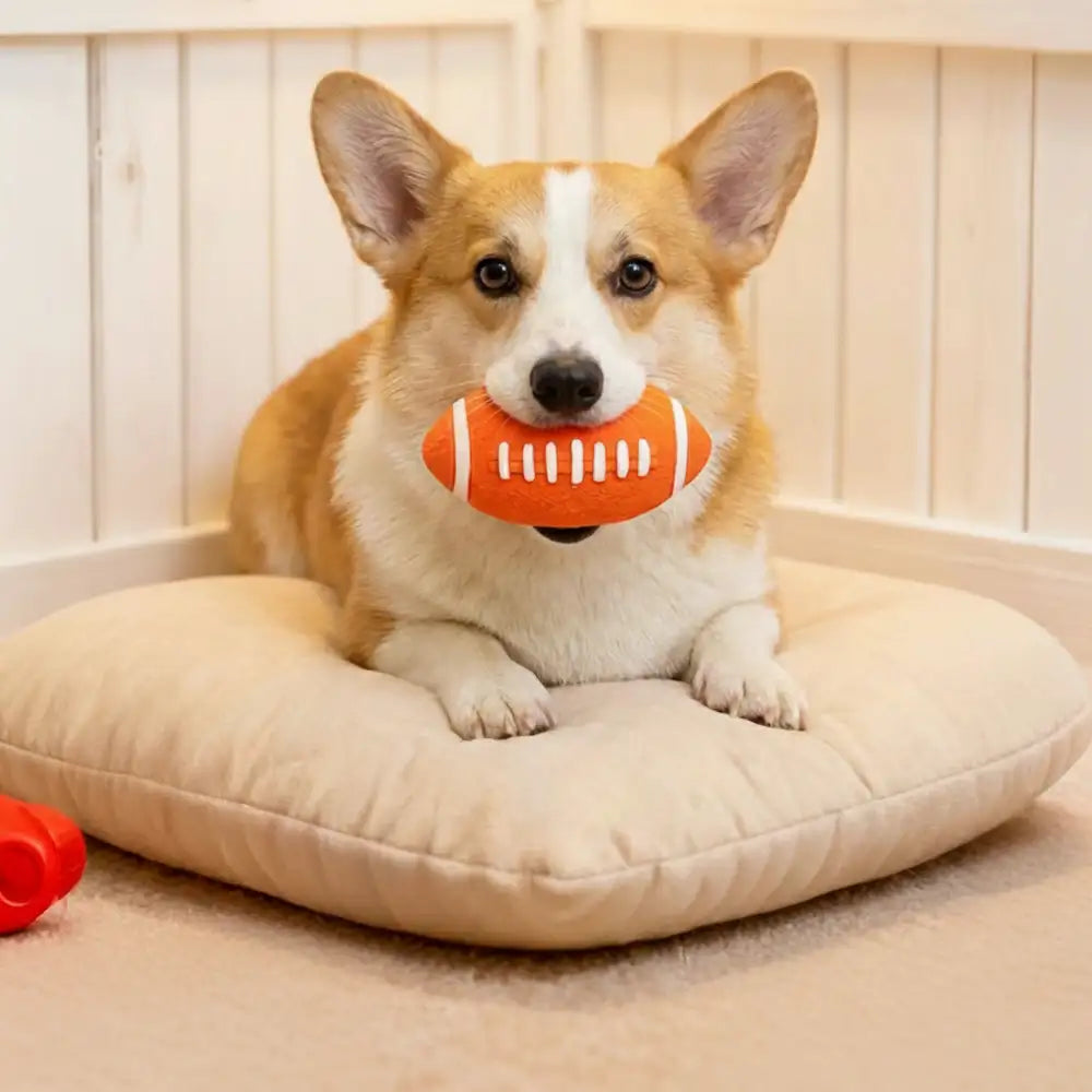 Durable Latex Teething With Squeaker Dog Chew Toy - Dog Toys detail view 5 | Petix pet supplies for dogs and cats