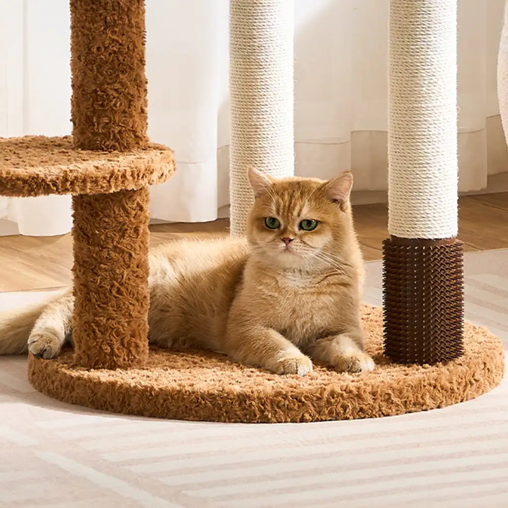 Flower Multi-Level Cat Climbing Frame Scratching Post Cat Tree with S... detail view 7 | Petix pet supplies for dogs and cats