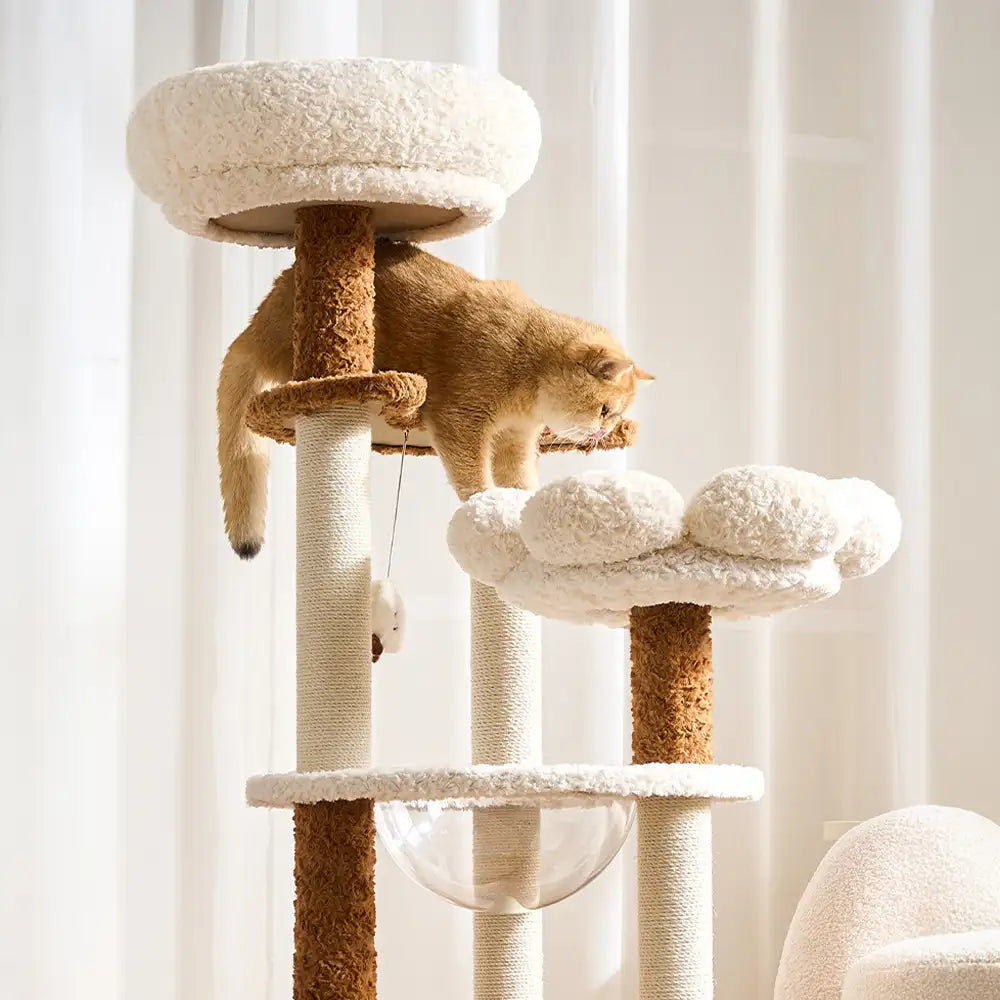 Flower Multi-Level Cat Climbing Frame Scratching Post Cat Tree with S... detail view 8 | Petix pet supplies for dogs and cats