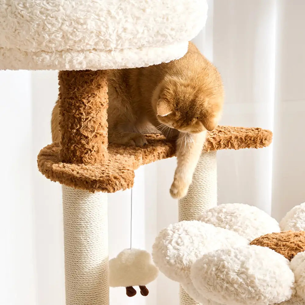 Flower Multi-Level Cat Climbing Frame Scratching Post Cat Tree with S... detail view 6 | Petix pet supplies for dogs and cats