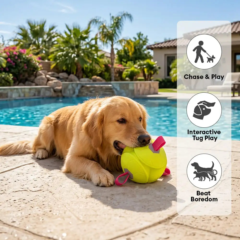 Football Floating Dog Toy with Straps - Dog Toys detail view 6 | Petix pet supplies for dogs and cats