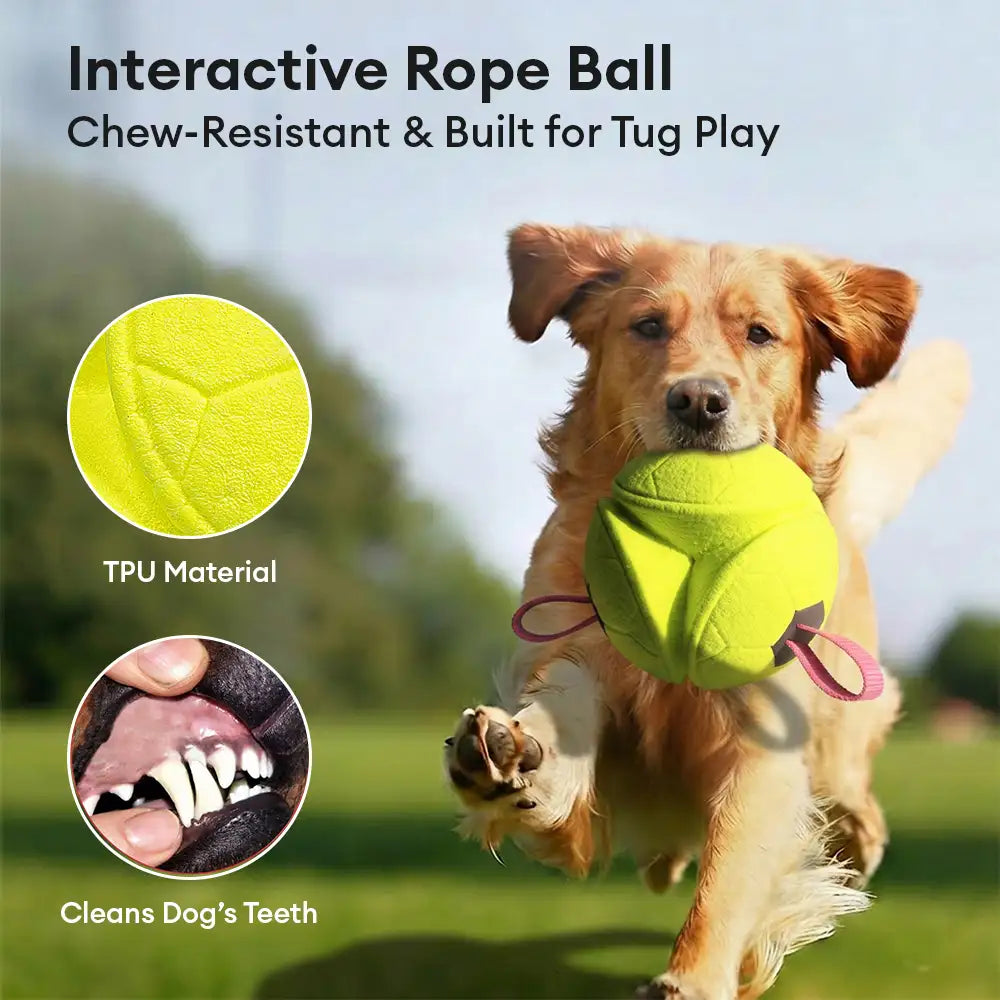 Football Floating Dog Toy with Straps - Dog Toys detail view 4 | Petix pet supplies for dogs and cats