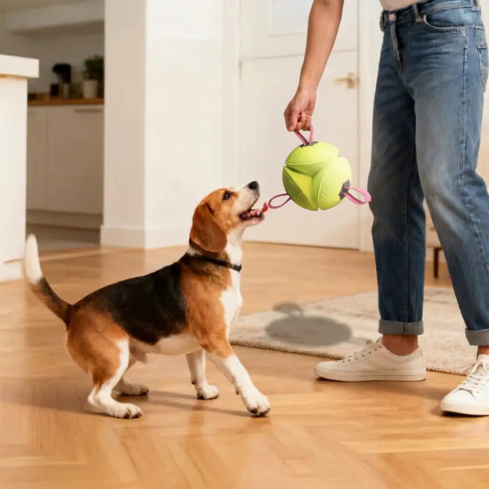 Football Floating Dog Toy with Straps - Dog Toys detail view 8 | Petix pet supplies for dogs and cats