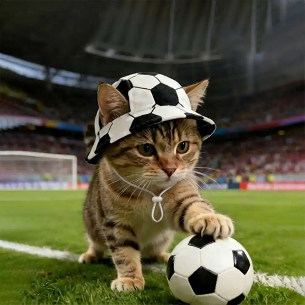 Football Pattern Pet Hat - Dog Apparel main product image | Petix pet supplies for dogs and cats