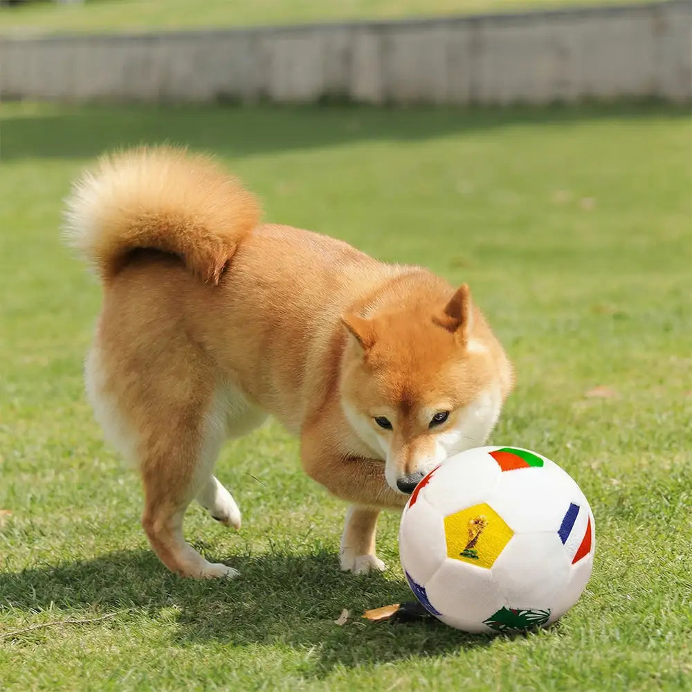 Football Plush Pillow - Dog Toys detail view 5 | Petix pet supplies for dogs and cats