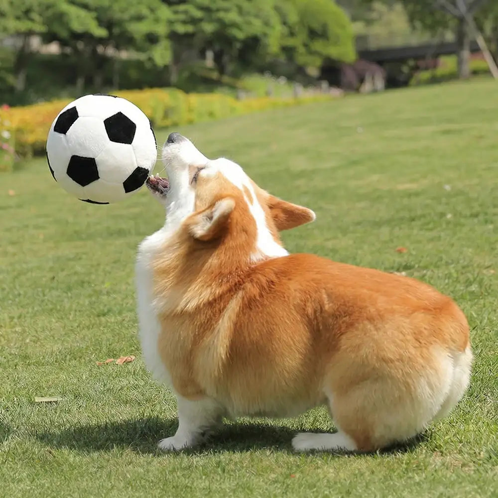 Football Plush Pillow - Dog Toys detail view 4 | Petix pet supplies for dogs and cats