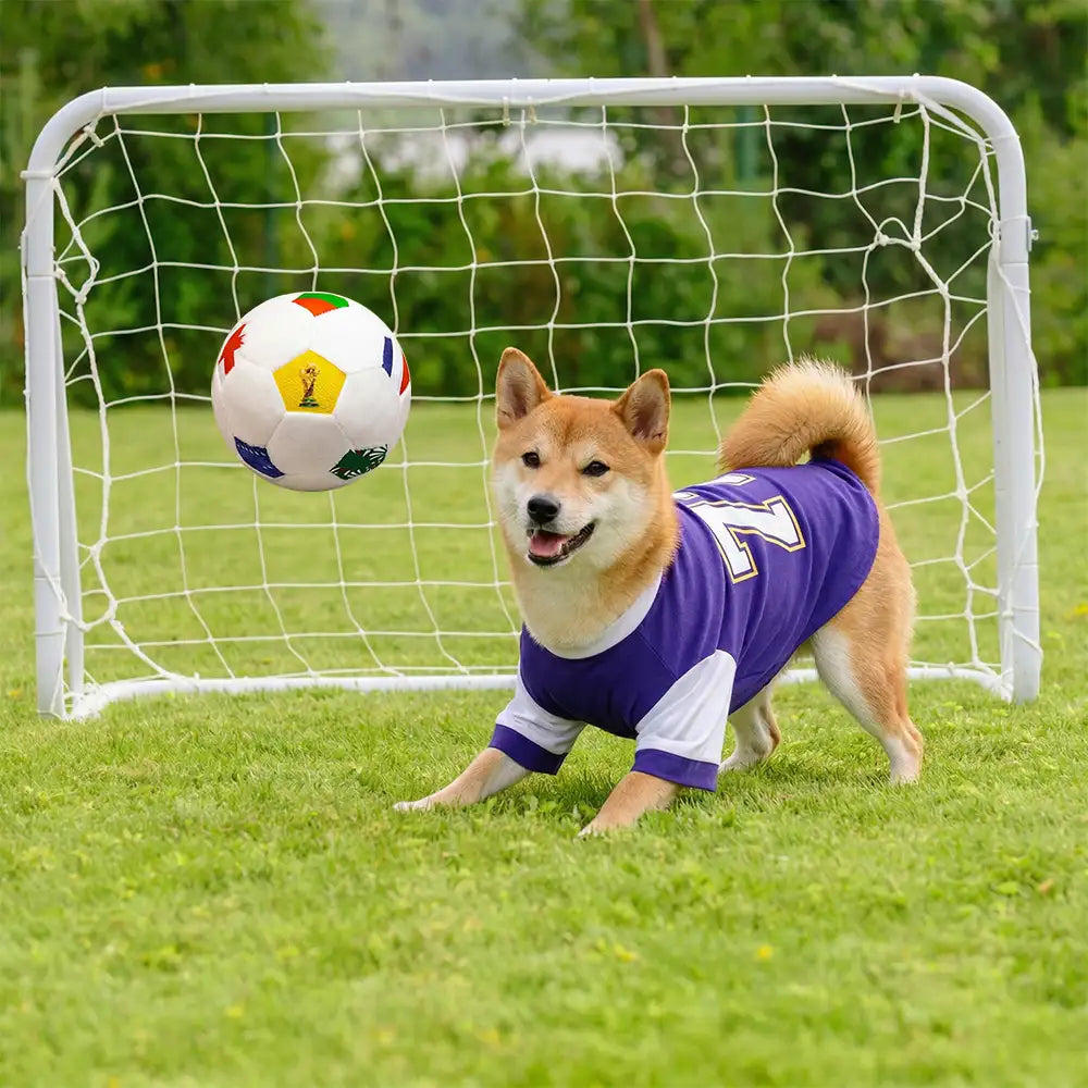 Football Plush Pillow - Dog Toys detail view 3 | Petix pet supplies for dogs and cats