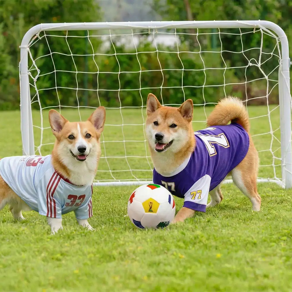 Football Plush Pillow - Dog Toys detail view 2 | Petix pet supplies for dogs and cats