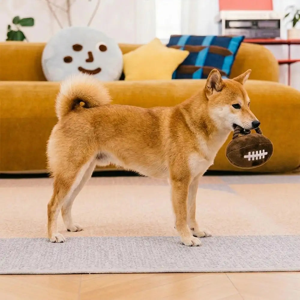 Fun Balls Dog Rope Chew Toy - Dog Toys lifestyle and size view 12 | Petix pet supplies for dogs and cats