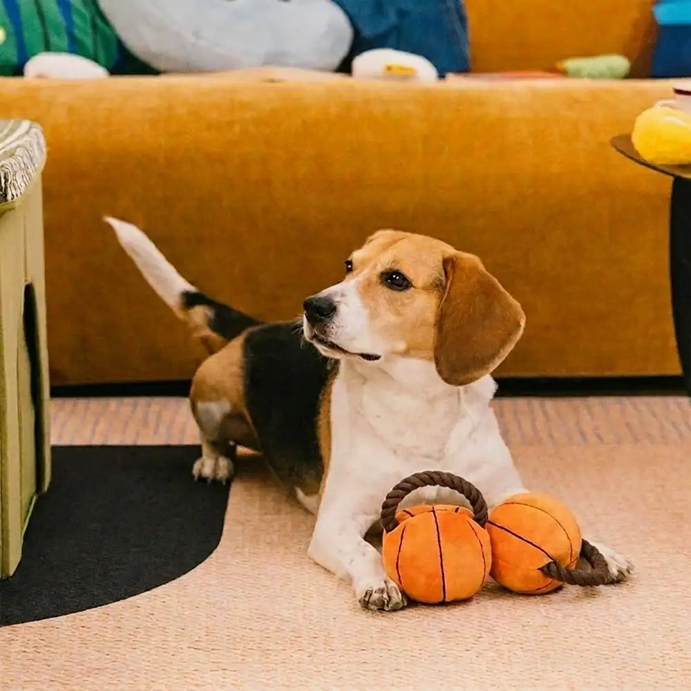 Fun Balls Dog Rope Chew Toy - Dog Toys detail view 10 | Petix pet supplies for dogs and cats