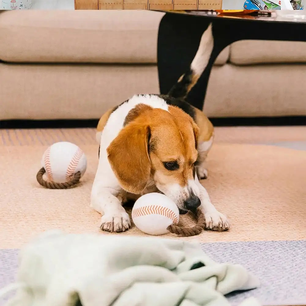 Fun Balls Dog Rope Chew Toy - Dog Toys detail view 11 | Petix pet supplies for dogs and cats