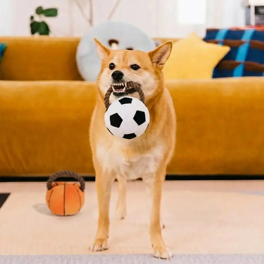 Fun Balls Dog Rope Chew Toy - Dog Toys detail view 2 | Petix pet supplies for dogs and cats