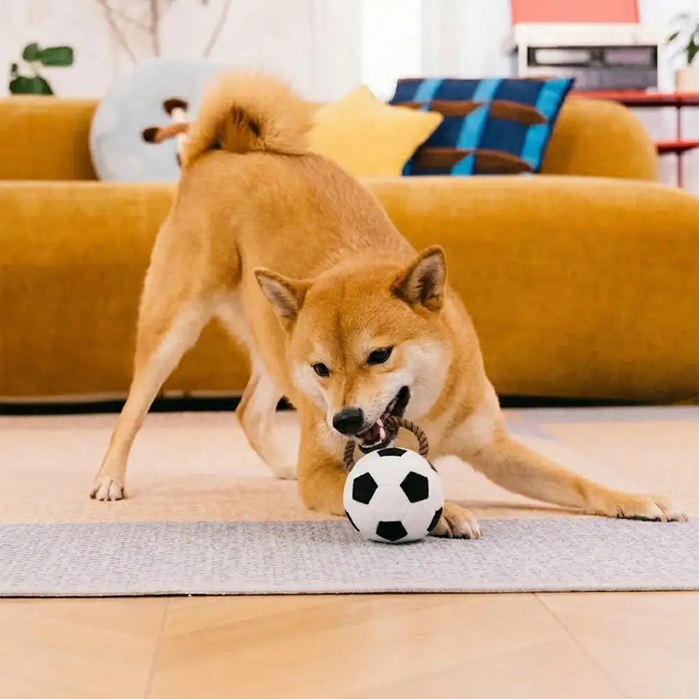 Fun Balls Dog Rope Chew Toy - Dog Toys detail view 3 | Petix pet supplies for dogs and cats