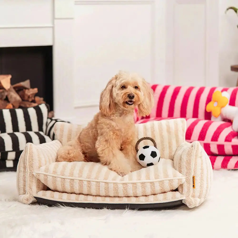 Fun Balls Dog Rope Chew Toy - Dog Toys detail view 9 | Petix pet supplies for dogs and cats