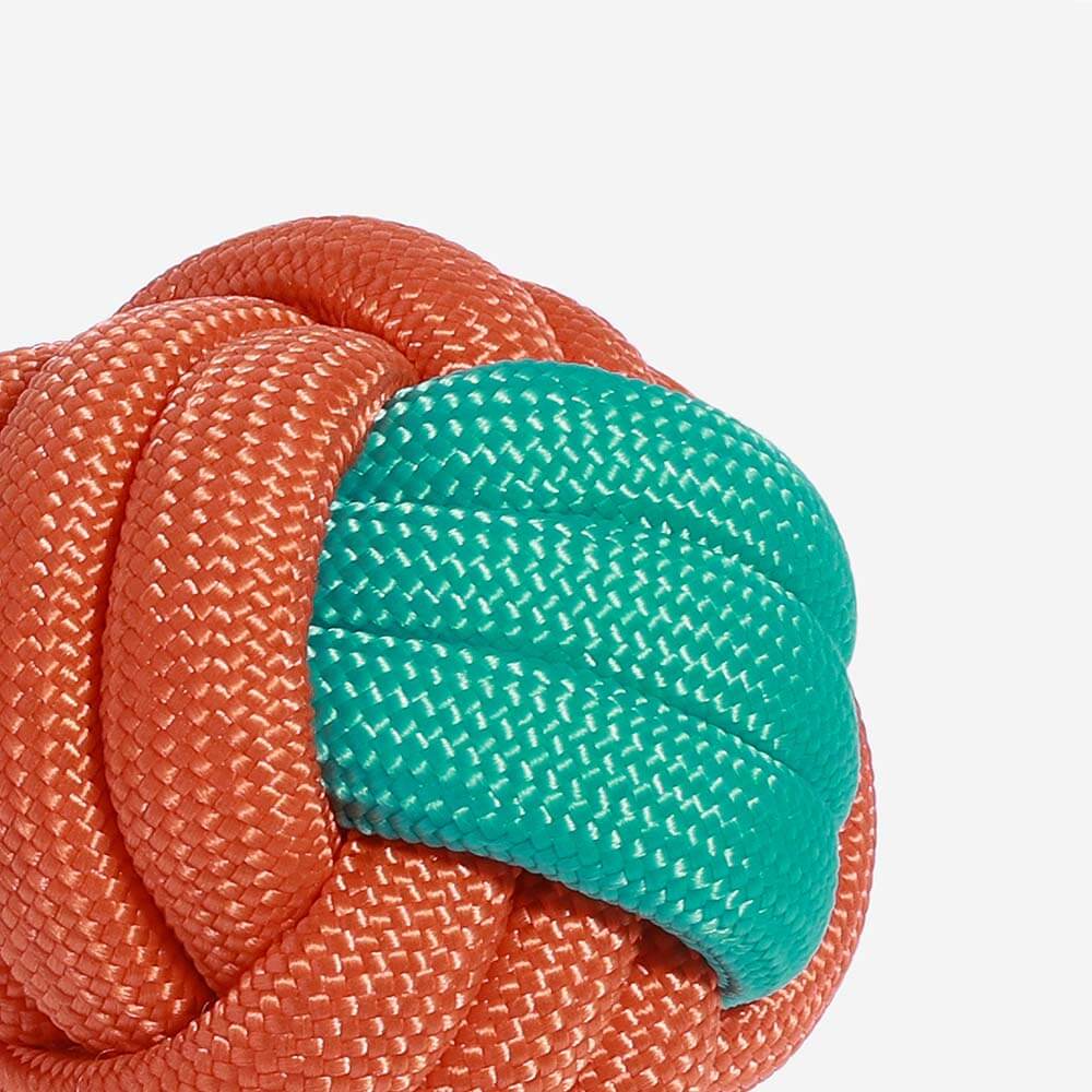 Knots Rope Tug Dog Toys - Color Clash - Dog Toys detail view 4 | Petix pet supplies for dogs and cats