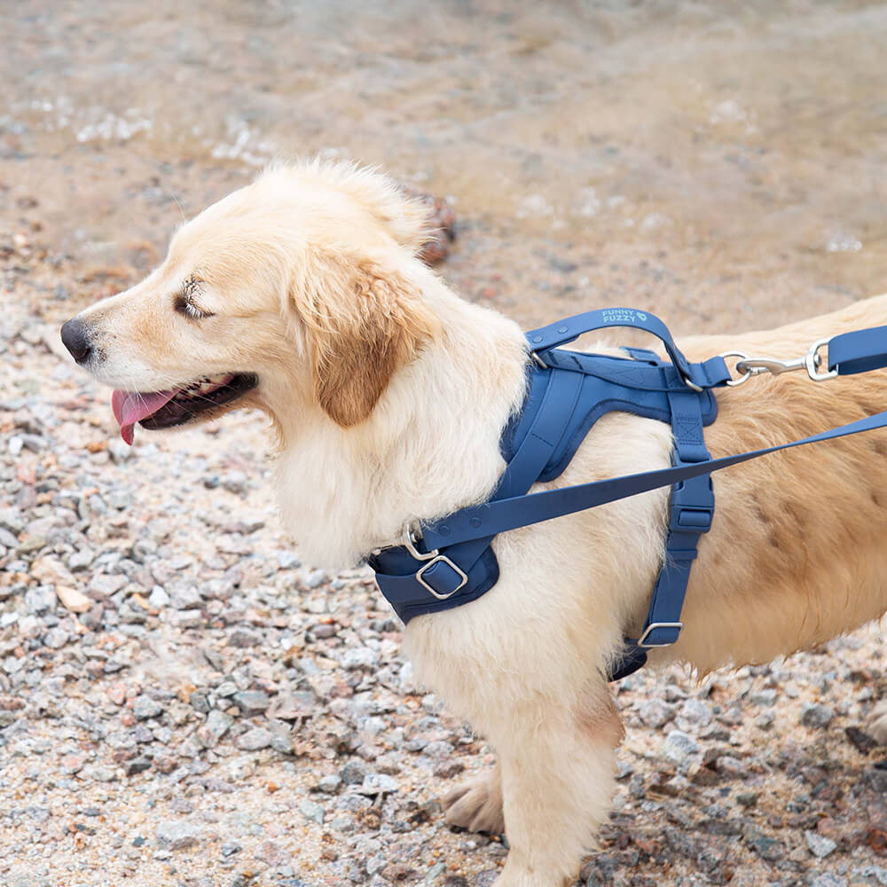 Gummy Walking Dog Harness - Pet Leashes & Collars & Harnesses detail view 8 | Petix pet supplies for dogs and cats