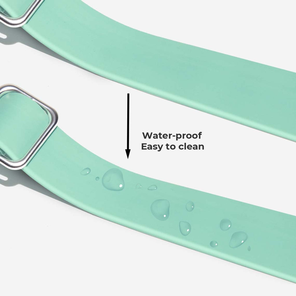 Gummy Walking Dog Leash - Pet Leashes & Collars & Harnesses detail view 6 | Petix pet supplies for dogs and cats