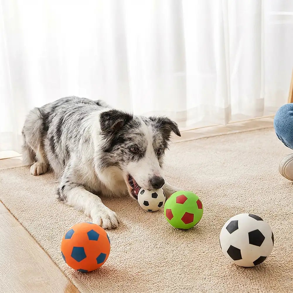 Funny High Elasticity Floating Football Dog Toy - Dog Toys main product image | Petix pet supplies for dogs and cats