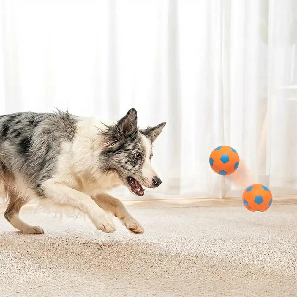 Funny High Elasticity Floating Football Dog Toy - Dog Toys detail view 3 | Petix pet supplies for dogs and cats