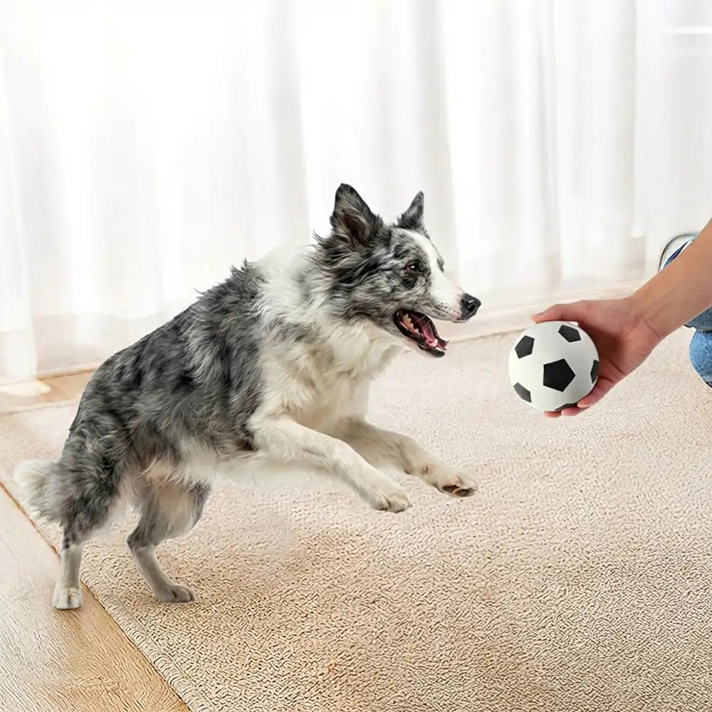 Funny High Elasticity Floating Football Dog Toy - Dog Toys detail view 5 | Petix pet supplies for dogs and cats
