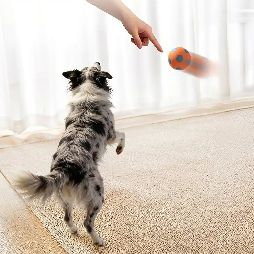 Funny High Elasticity Floating Football Dog Toy - Dog Toys detail view 6 | Petix pet supplies for dogs and cats