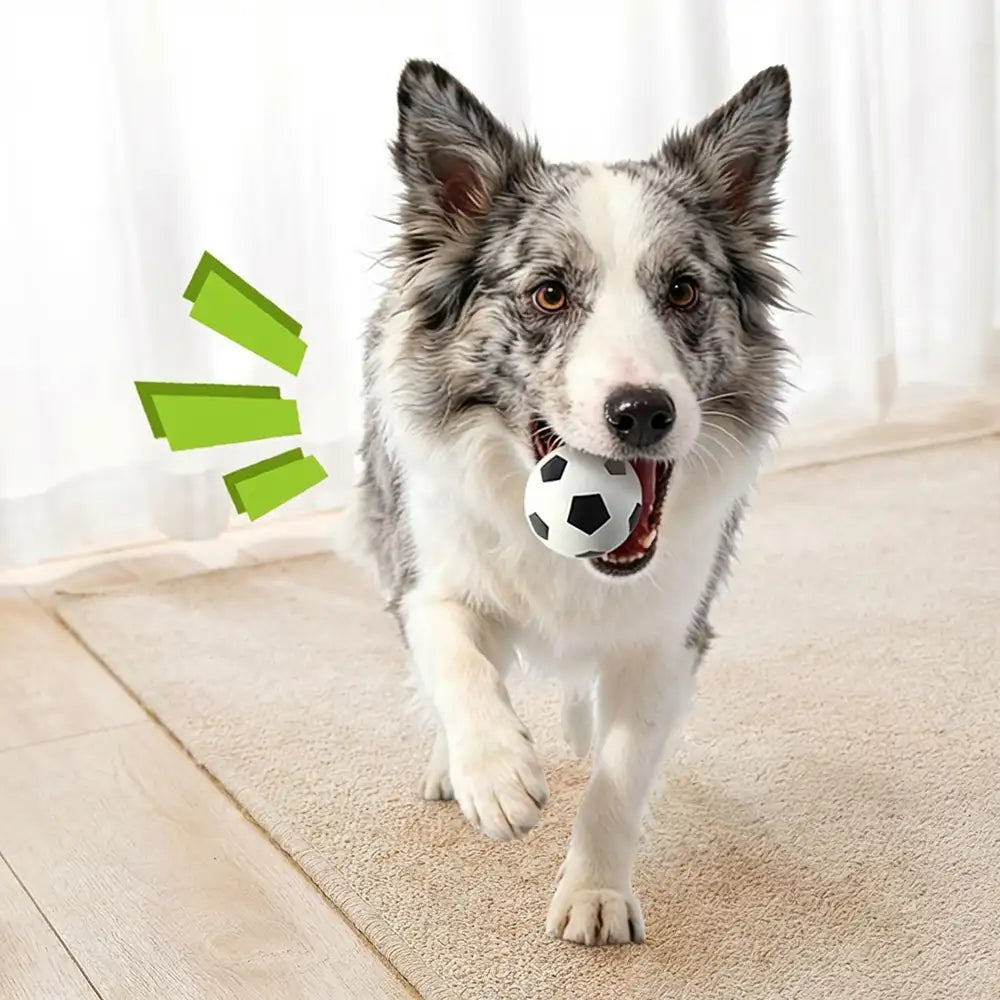 Funny High Elasticity Floating Football Dog Toy - Dog Toys detail view 4 | Petix pet supplies for dogs and cats