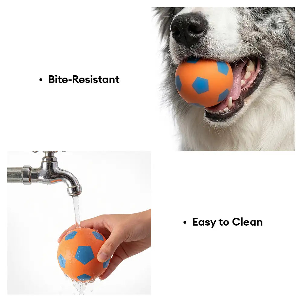 Funny High Elasticity Floating Football Dog Toy - Dog Toys detail view 7 | Petix pet supplies for dogs and cats
