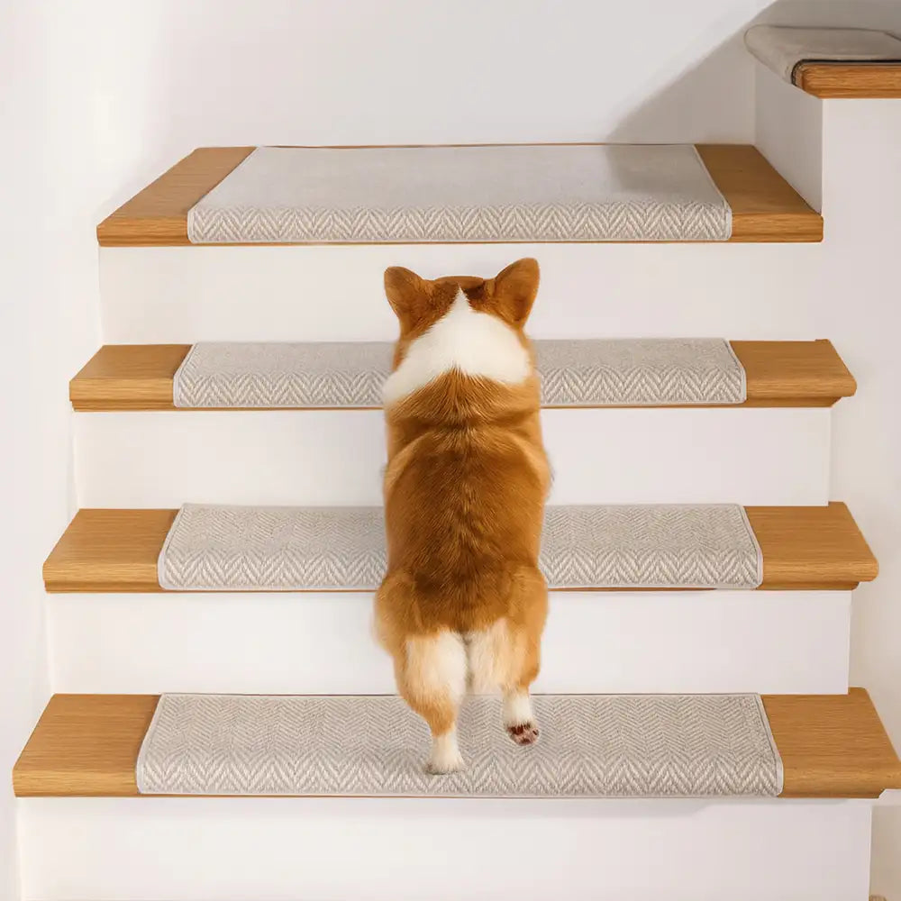 Herringbone Wear-Resistant Stair Protection Tape Free Carpet Sta... main product image | Petix pet supplies for dogs and cats