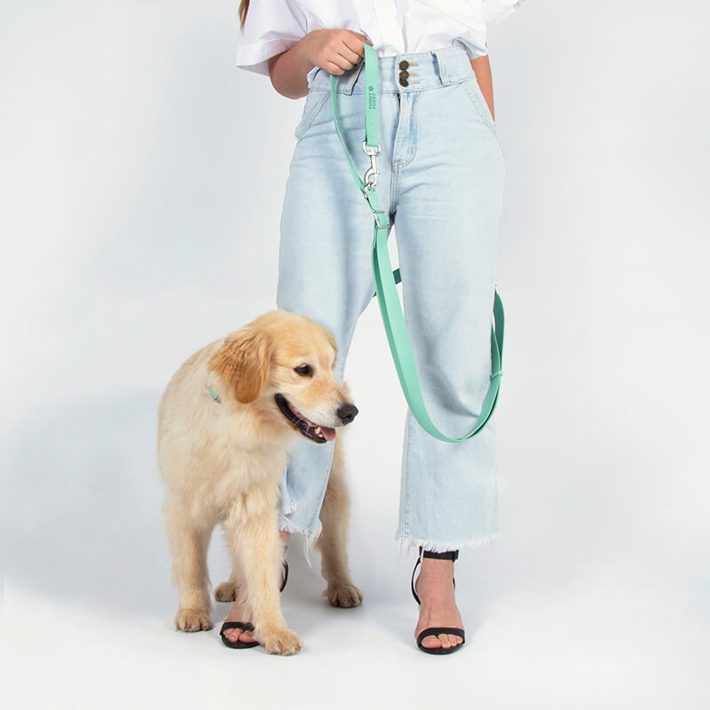 Gummy Walking Dog Leash - Pet Leashes & Collars & Harnesses detail view 4 | Petix pet supplies for dogs and cats
