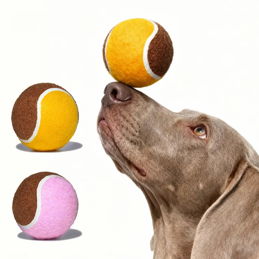 Interactive Tennis Ball Dog Toy - Dog Toys main product image | Petix pet supplies for dogs and cats