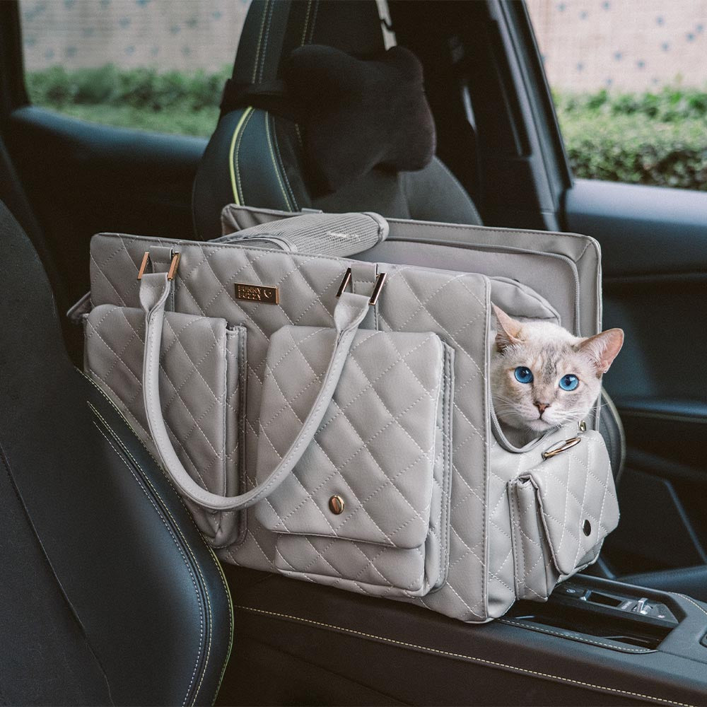 Large Carrying Stylish Multi-Functional Human-Cat Shared Travel... main product image | Petix pet supplies for dogs and cats