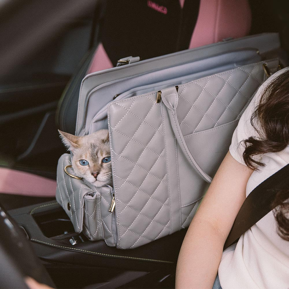 Large Carrying Stylish Multi-Functional Human-Cat Shared Travel Cat B... detail view 9 | Petix pet supplies for dogs and cats