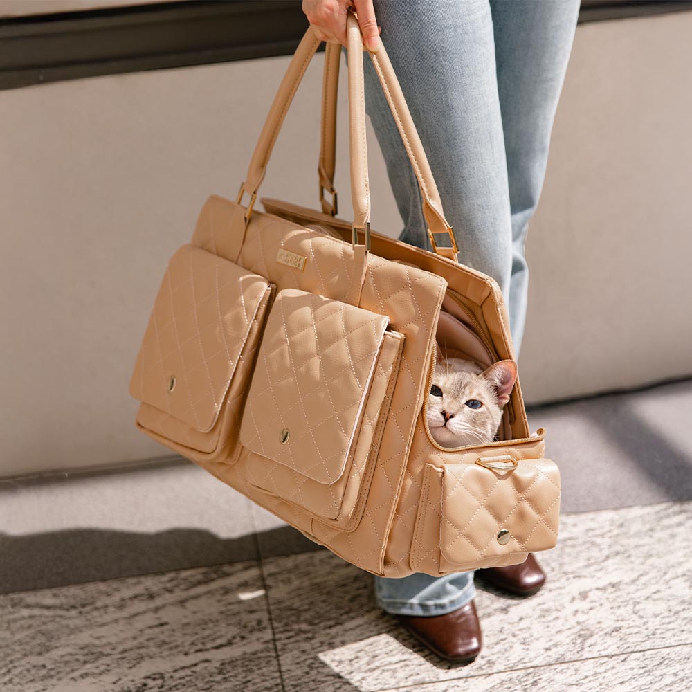 Large Carrying Stylish Multi-Functional Human-Cat Shared Travel Cat... detail view 10 | Petix pet supplies for dogs and cats