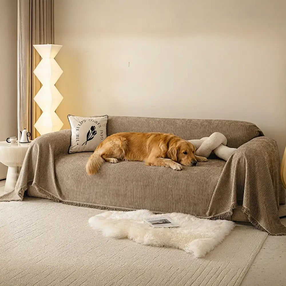 Modern Classic Scratch-Resistant Chenille Sofa Blanket Washable... main product image | Petix pet supplies for dogs and cats