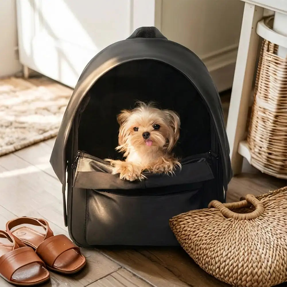 Outdoor Travel Expandable Breathable Cat Carrier Backpac... lifestyle and size view 20 | Petix pet supplies for dogs and cats