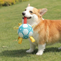Paw Print Soccer Ball Dog Chew Toy With Straps - Dog Toys main product image | Petix pet supplies for dogs and cats