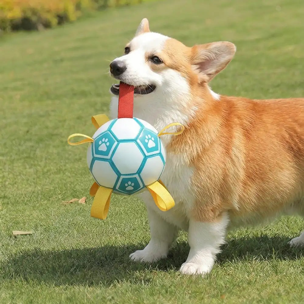 Paw Print Soccer Ball Dog Chew Toy With Straps - Dog Toys main product image | Petix pet supplies for dogs and cats