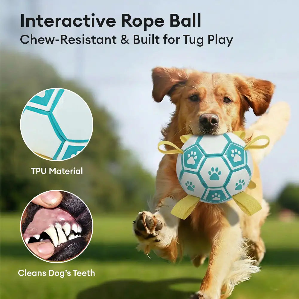 Paw Print Soccer Ball Dog Chew Toy With Straps - Dog Toys detail view 3 | Petix pet supplies for dogs and cats