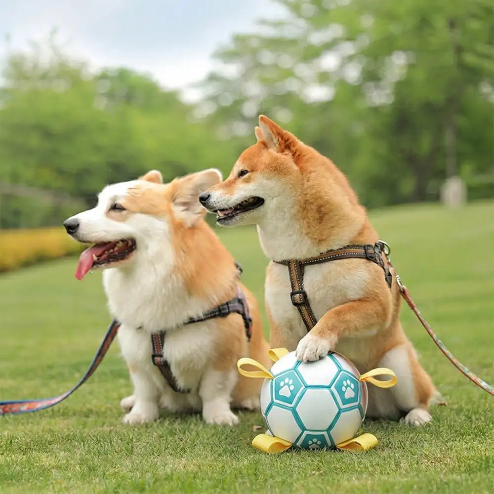 Paw Print Soccer Ball Dog Chew Toy With Straps - Dog Toys detail view 2 | Petix pet supplies for dogs and cats