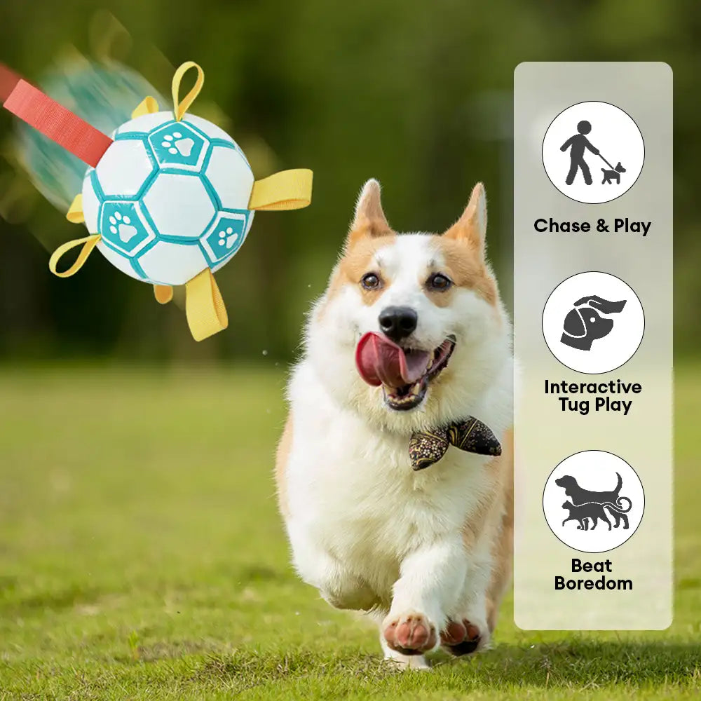 Paw Print Soccer Ball Dog Chew Toy With Straps - Dog Toys detail view 4 | Petix pet supplies for dogs and cats