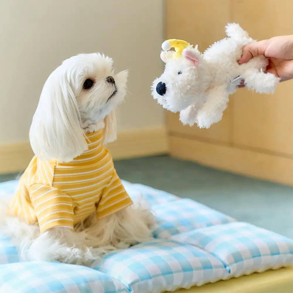 Play And Rest All-In-One Double-Layer Comfortable Washable Dog Bed... detail view 4 | Petix pet supplies for dogs and cats