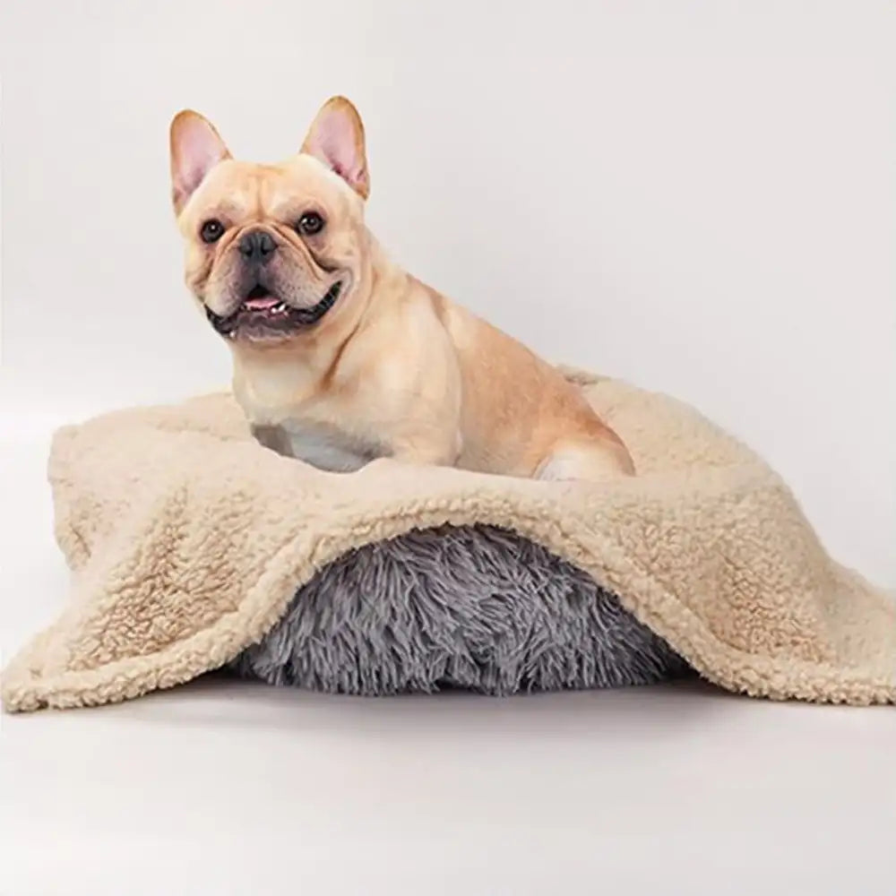 Polar Fleece Comfortable Warm Multifunctional Pet Blanket - Blankets detail view 14 | Petix pet supplies for dogs and cats