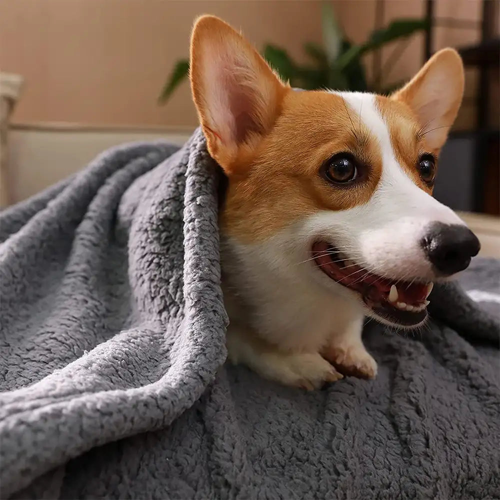 Polar Fleece Comfortable Warm Multifunctional Pet Blanket - Blankets detail view 16 | Petix pet supplies for dogs and cats