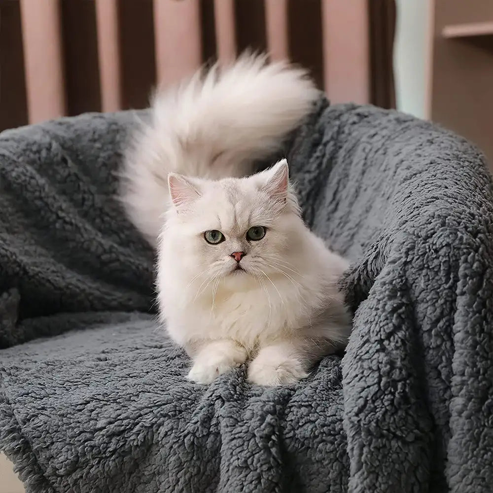 Polar Fleece Comfortable Warm Multifunctional Pet Blanket - Blankets detail view 3 | Petix pet supplies for dogs and cats