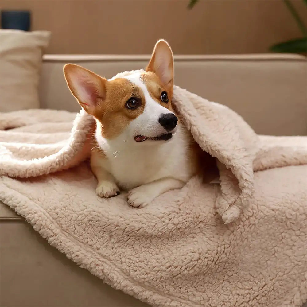 Polar Fleece Comfortable Warm Multifunctional Pet Blanket - Blan... main product image | Petix pet supplies for dogs and cats
