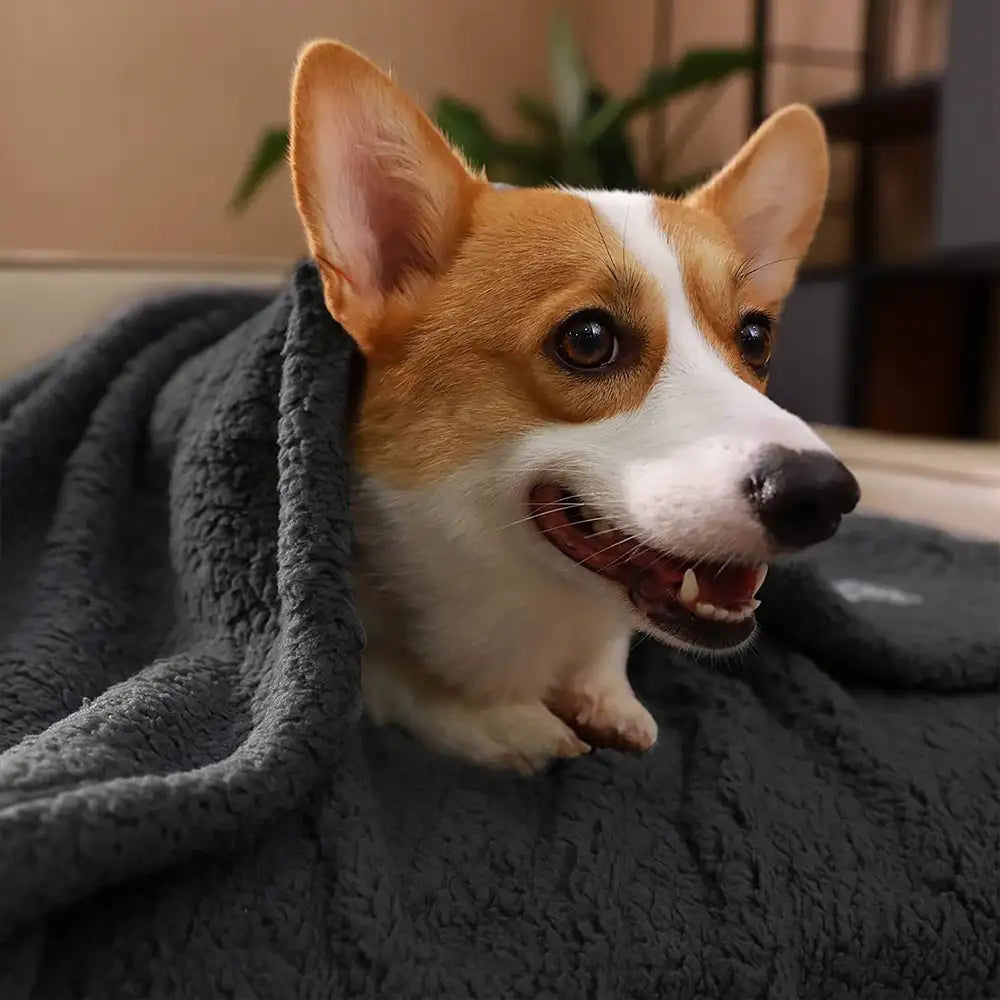Polar Fleece Comfortable Warm Multifunctional Pet Blanket - Blankets detail view 4 | Petix pet supplies for dogs and cats
